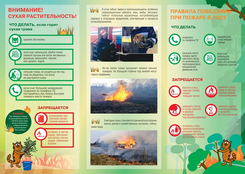 Детская безопасность - Пожарная безопасность - БЕЗОПАСНОСТЬ - Городской округ Заречный